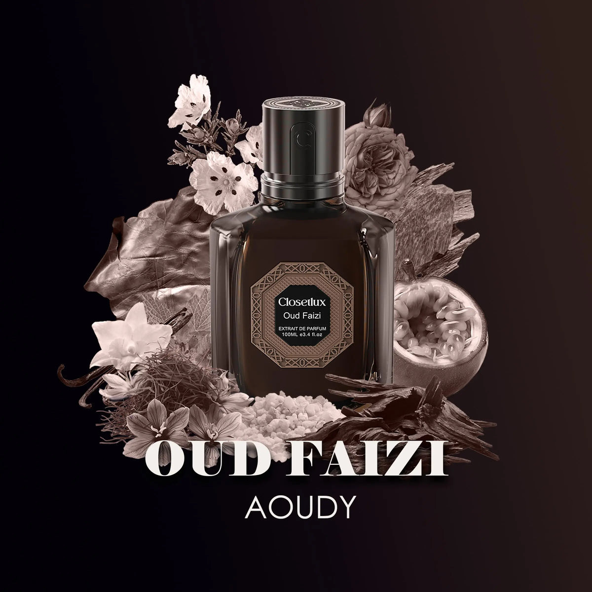 Oud Faizi