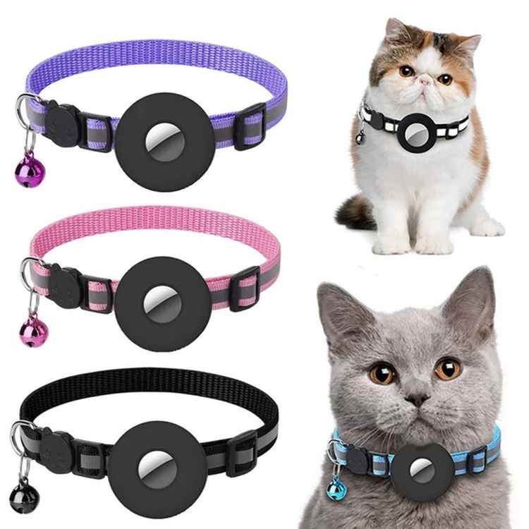 Thoughtful Essentials for Happier Pets